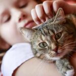 498487-dia-internacional-del-gato-5-enfermedades-que-pueden-transmitir-y-como-prevenirlas